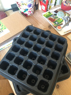 Black rubber seed growing module trays