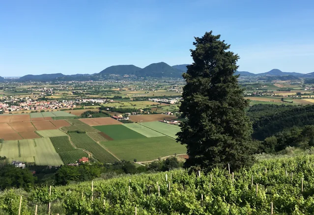 Itinerari e strade panoramiche Colli Berici