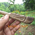 Pipa Rokok KAYU GAHARU BUAYA Ukir Naga Panjang 15 cm by Balung Craft