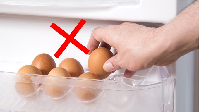 Sí almacenas los huevos en el refrigerador estas cometiendo un error y aquí te explicamos el por qué