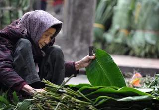 Tiếng ru chiều