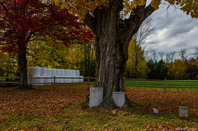Jeannes Vermont (59 of 67)