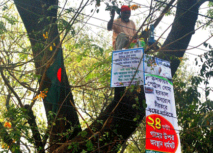 প্রতিবাদ যখন গাছে