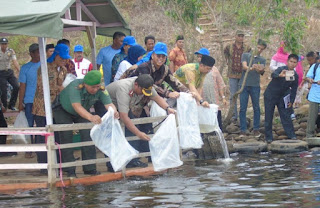 Pemerintah Musi Rawas Tebar Ratusan Ribu Benih Ikan di Danau Gegas