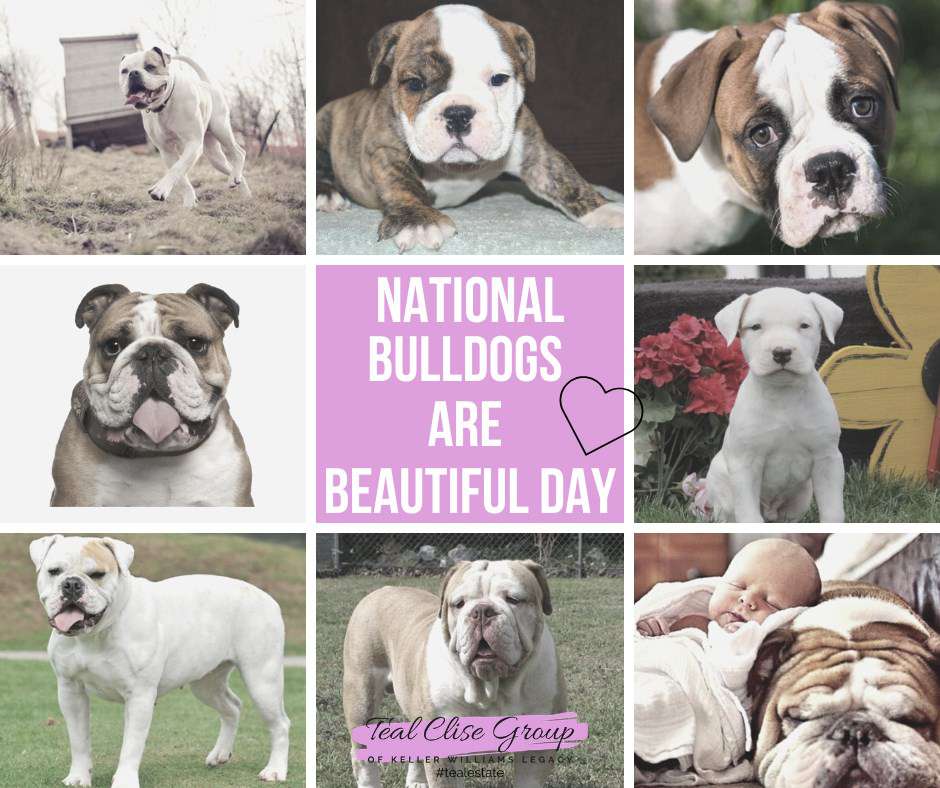 National Bulldogs Are Beautiful Day Wishes Images