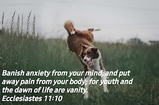 Top 10 Bible Verses On Overcoming Anxiety 3