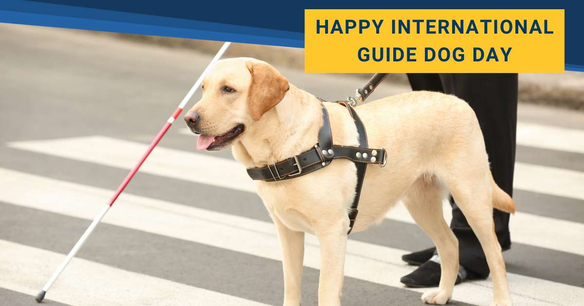 International Guide Dog Day Wishes Awesome Images, Pictures, Photos, Wallpapers