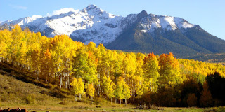 A snow-covered mountain with a grove of Aspen trees in the foreground. Off Last Dollar Road in southern Colorado.