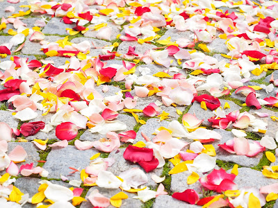 Pétalos de flores sobre el suelo