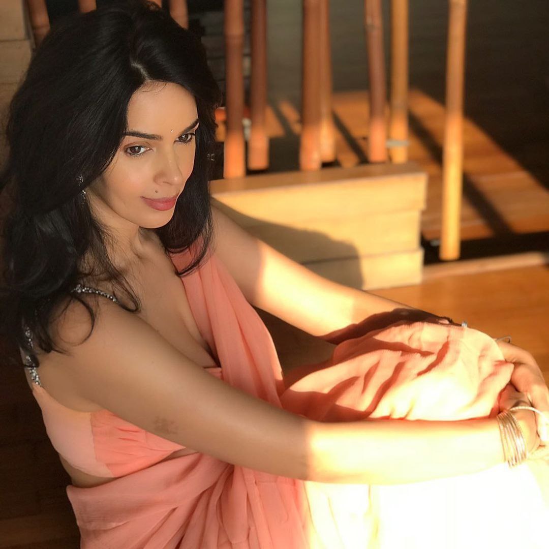 Actress Mallika Sherawat Latest Hot Photos in Saree