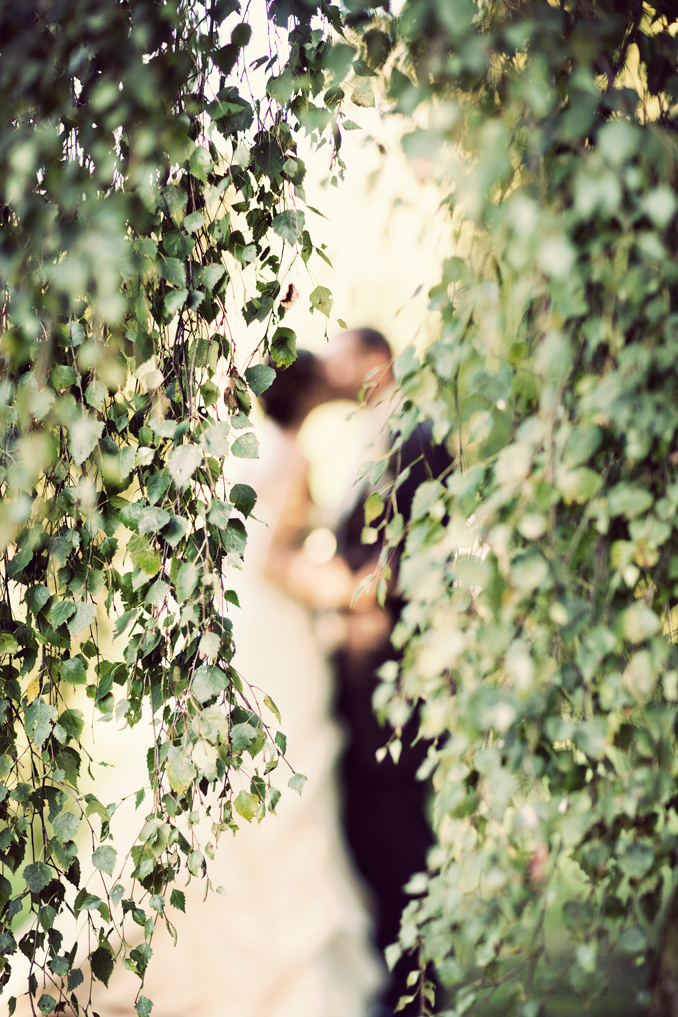 bride and groom kissing STUDIO 1208