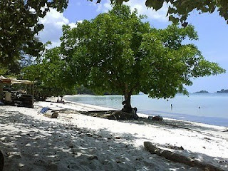 Pantai Melur Pulau Galang