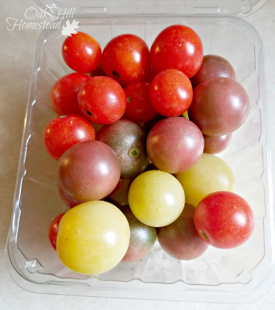 Red husky, black cherry and snow white cherry tomatoes