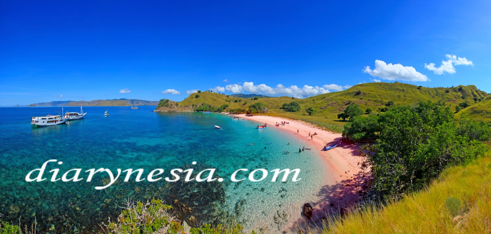 komodo national park must visit destination, east nusa tenggara tourism, pink beach tourist destination, diarynesia