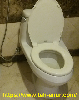 Toilet duduk di Madinah
