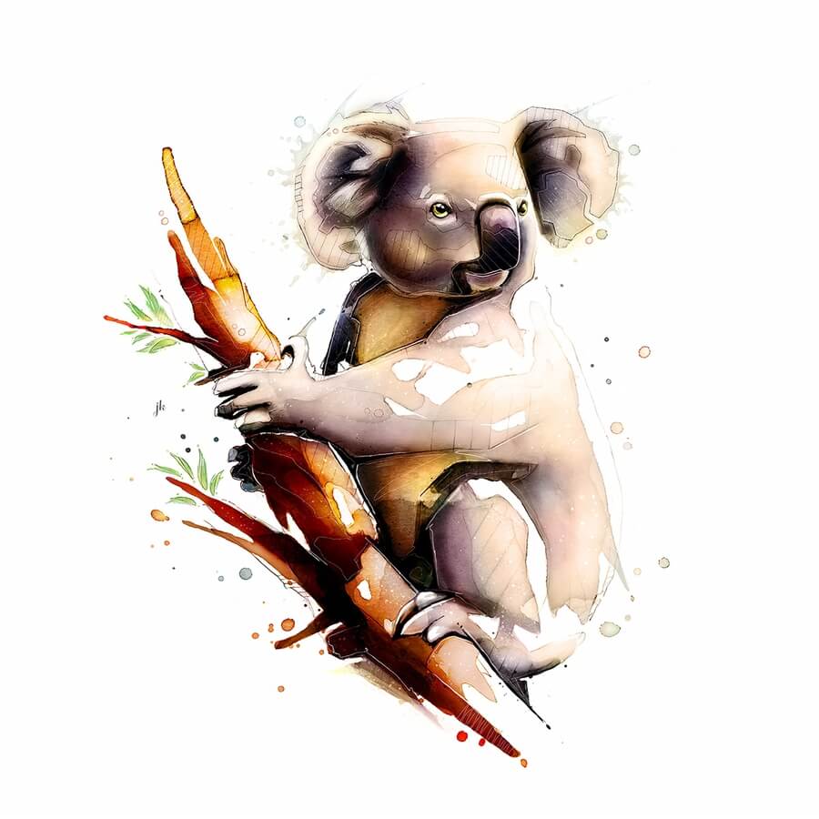 09-Koala-Wildlife-Art-Jeremy-Kyle-www-designstack-co