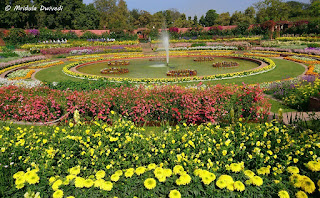 mugal-garden-will-open-from-5th-fabruary