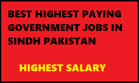 Exploring the Top Highest Paying Government Jobs in Sindh