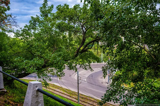 Дорога через кроны деревьев