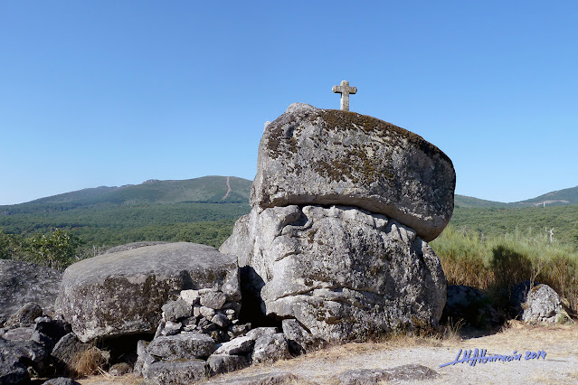 Camino de las Raíces