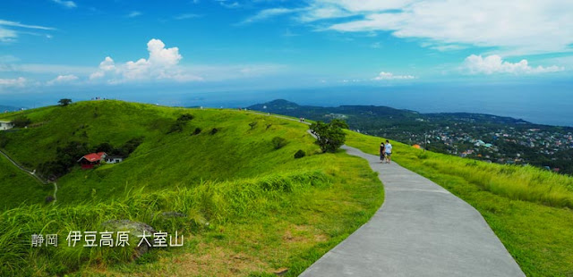 大室山の散策路が気持ちよかった！