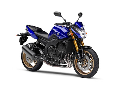 2010 Yamaha FZ8 Sport Bike