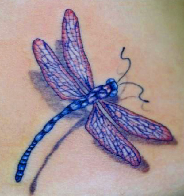 Dragonfly tattoo done by Donald Purvis at Asgard Dragonfly Tattoos Designs