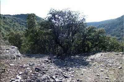 Descendemos hacia el barranco