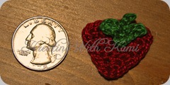 strawberry applique 06_13_10
