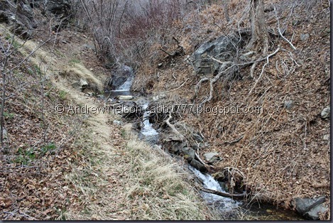 IMG_2397 IMG_2397