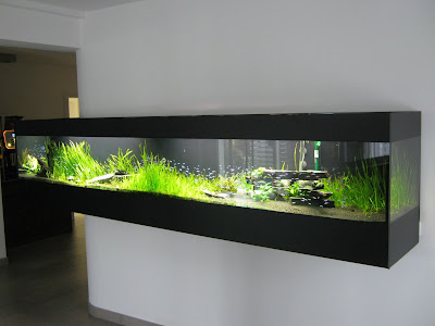 Model aquarium unik