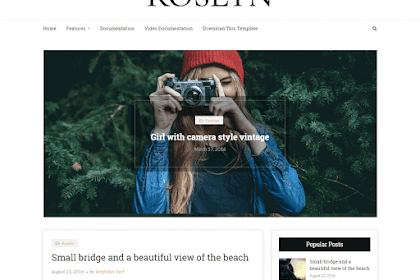 Roslyn Fashion Blogger Template