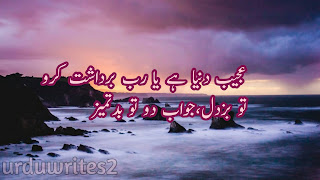 Urdu quotes about love