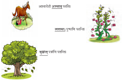 Abhyasvan Bhav Class 9 Solutions Chapter 6 कारकोपपदविभक्तिः