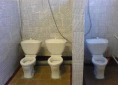 unusual toilets