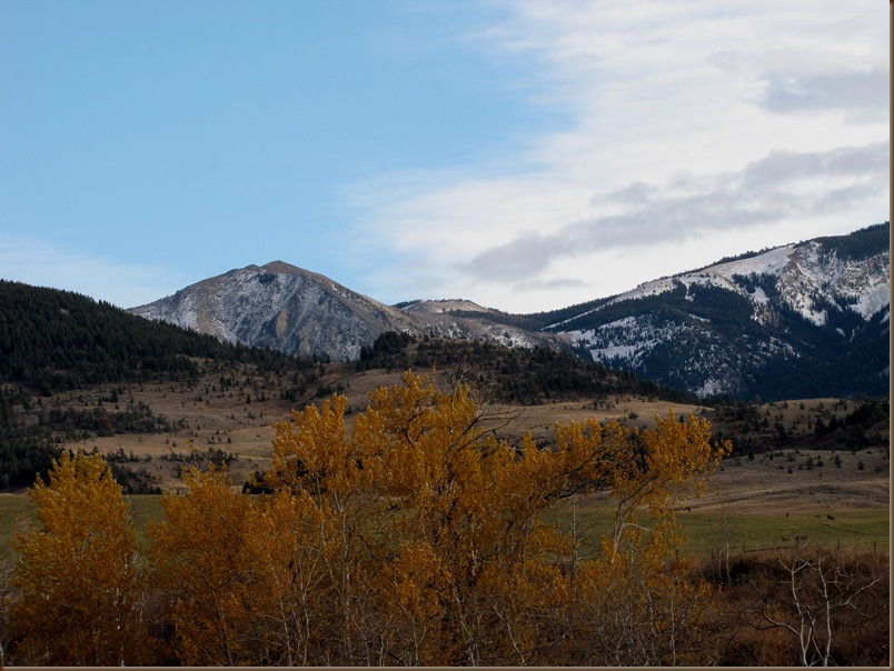 Fall and winter