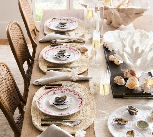 Shells for Tabletop Decor