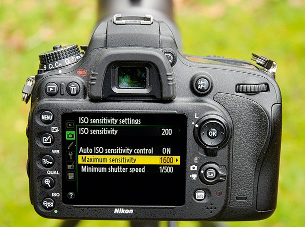 Maximizing the automatic ISO settings on a best DSLR camera, best dslr camera, best professional camera, top dslr camera