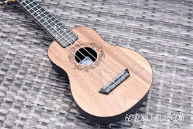 Flight Travel Ukulele body