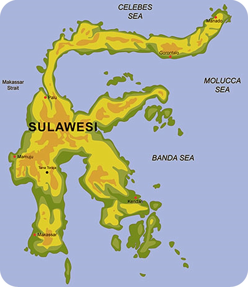 Kondisi Geografis Pulau  Sulawesi  Berdasarkan Peta  Luas 