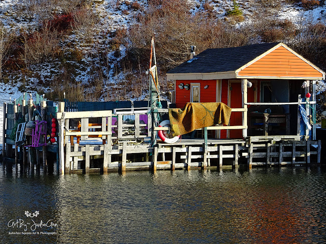 Newfoundland Photos