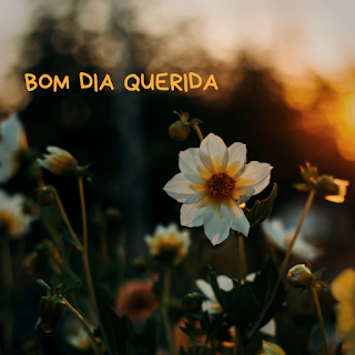 Images for Bom Dia querida
