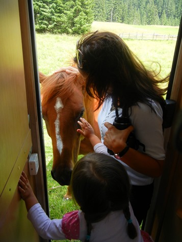 DSC_7070a (1)-2