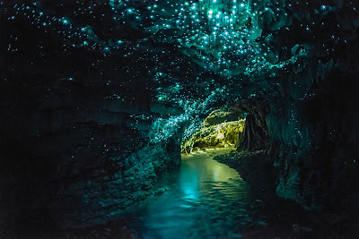 The Waitomo Glowworm Caves New Zealand