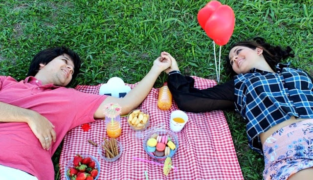 Resultado de imagem para picnic dia dos namorados