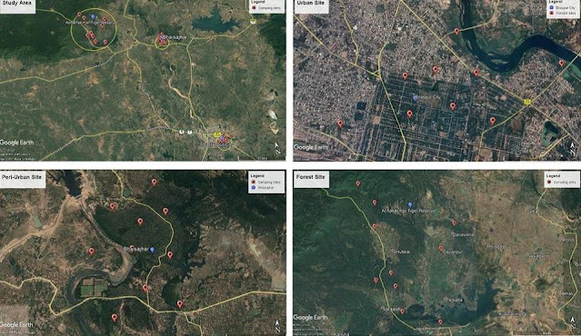 a) Study sites b) Urban site (Zone 3) c) Peri-urban site (Zone 2) d) Forest site (Zone 1).