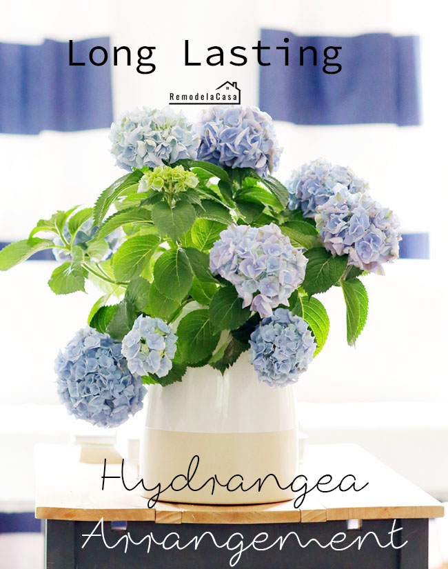 flower bouquet of blue hydrangeas