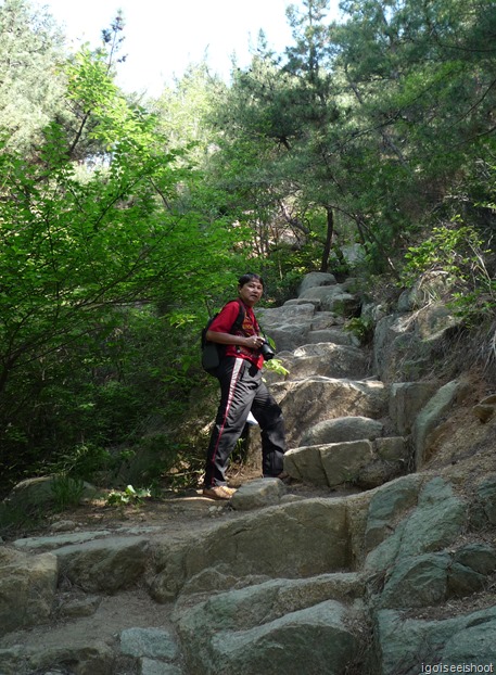 Hiking Mount Namsan through the Samneung valley