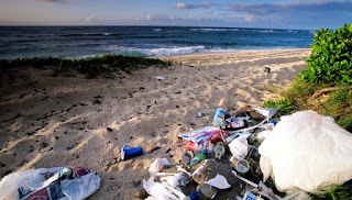 marine debris, ocean pollution, garbage on the beach, Mokuleia Beach, Oahu Hawaii