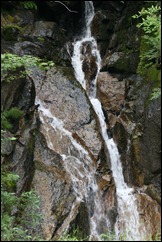 IMG_4779